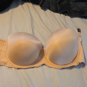 Torrid Chic Strapless Lace Bra in Cream